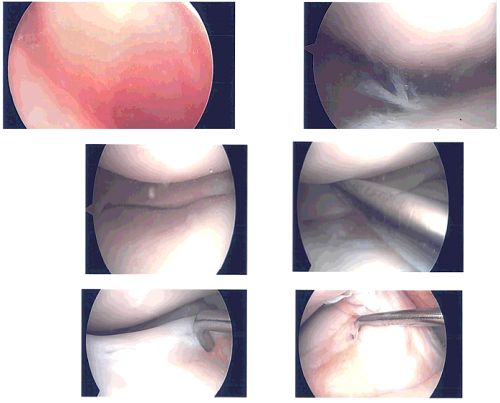 Integumentary photography, whole body